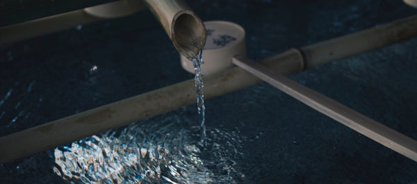 Rhinotech Systems Ltd