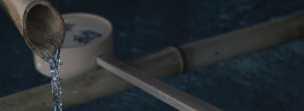 whole house water filter